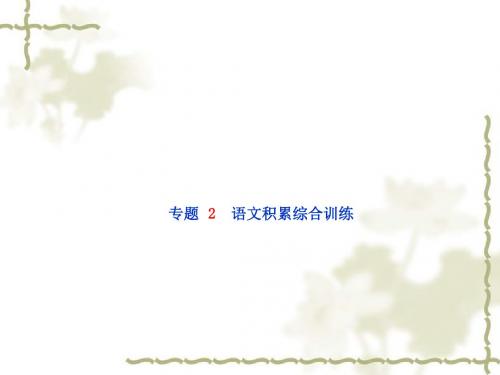 2018年安徽中考语文专题复习课件：专题2语文积累综合训练(共39张PPT)