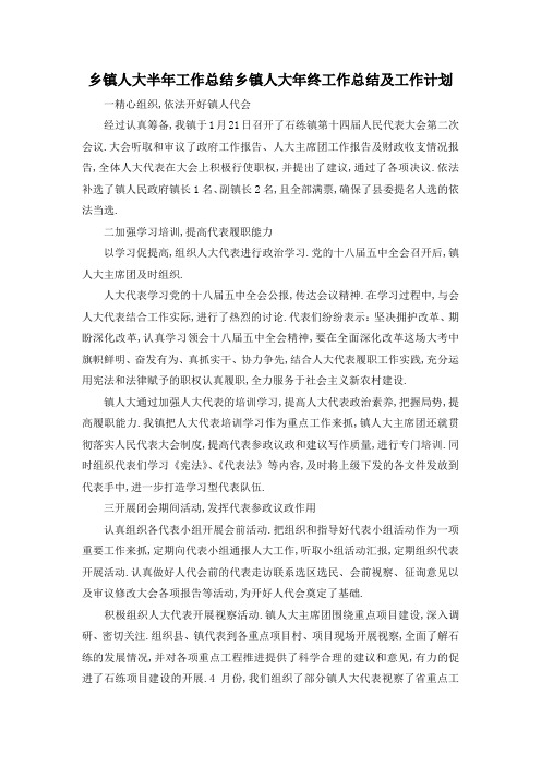 最新-乡镇人大半年工作总结 乡镇人大年终工作总结及工作计划 精品