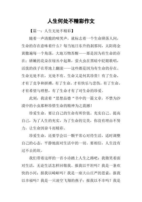 人生何处不精彩作文