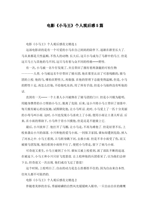 电影《小马王》个人观后感5篇