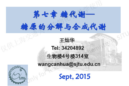 上海交通大学生物化学课件糖代谢糖原