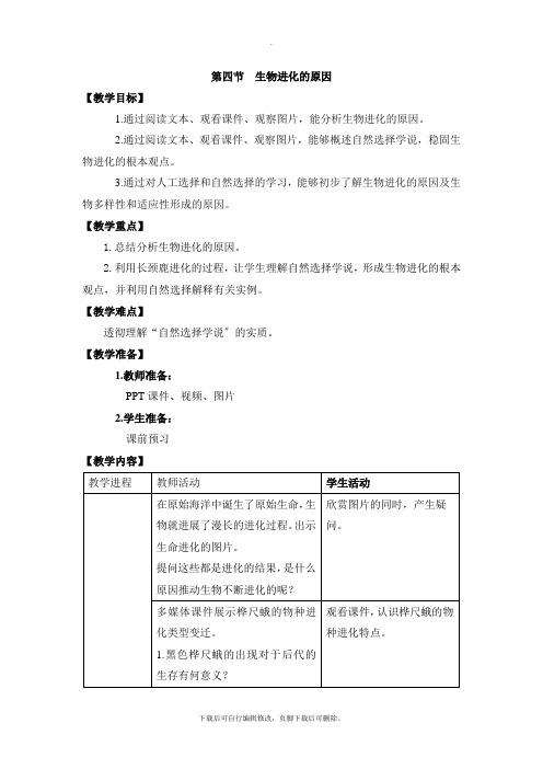 济南版生物八年级下册 5.1.4《生物进化的原因》教案