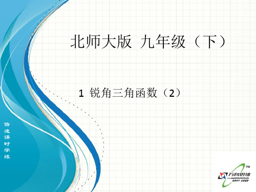 新北师大版九年级数学下册第一章《锐角三角函数(2)》公开课课件 (2).ppt