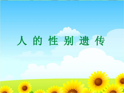 人教版八年级生物下册  第四节-人的性别遗传(共44张PPT)