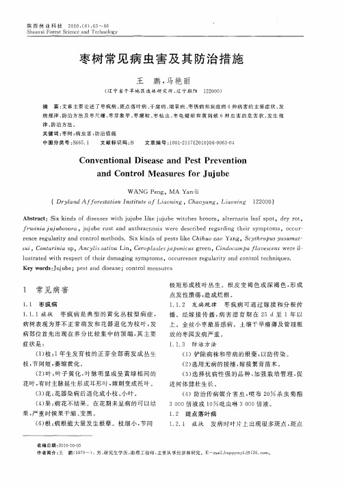 枣树常见病虫害及其防治措施