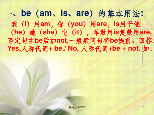 仁爱版七年级上册复习总完整ppt课件
