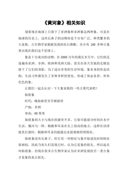《黄河象》相关知识_1