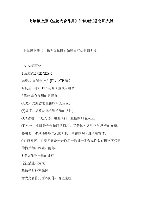 七年级上册《生物光合作用》知识点汇总北师大版