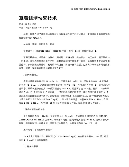 草莓组培快繁技术