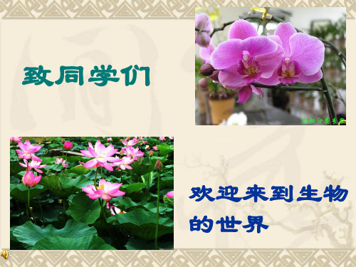 新人教版七年级生物《致同学们》课件