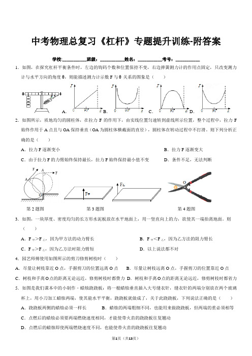 中考物理总复习《杠杆》专题提升训练-附答案