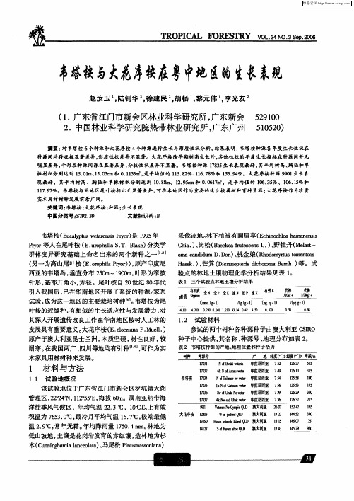 韦塔桉与大花序桉在粤中地区的生长表现