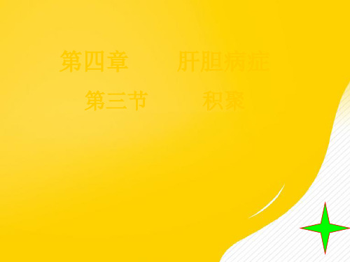 第节积聚优秀PPT资料