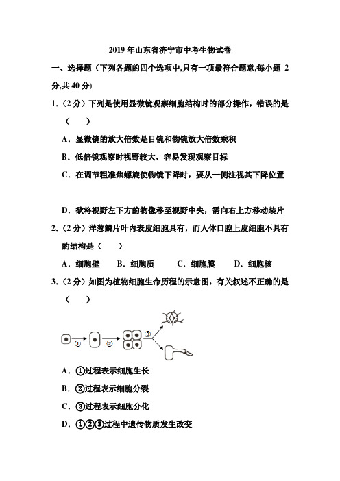 2019年山东省济宁市中考生物试卷和答案