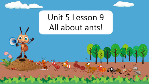 2A-Unit5Lesson9Allaboutants!新概念英语青少版小学英语