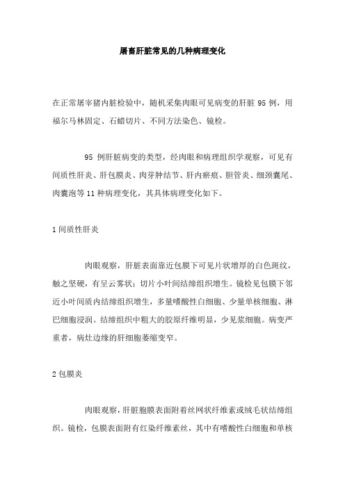 屠畜肝脏常见的几种病理变化