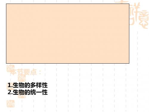 生物的多样性、统一性和进化ppt 浙教版