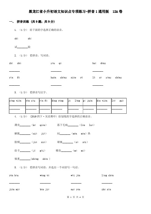 黑龙江省小升初语文知识点专项练习-拼音1通用版  12A卷