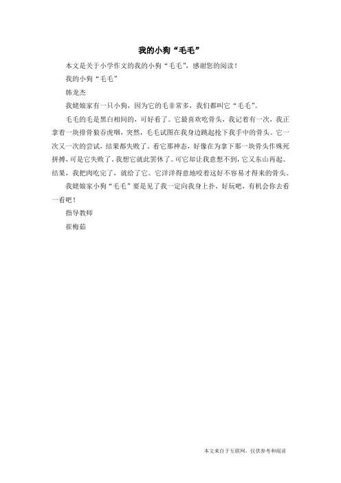 我的小狗“毛毛”_小学作文
