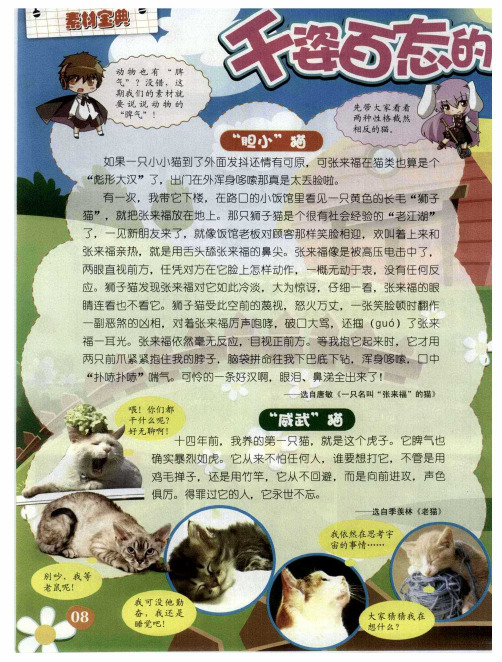 千姿百态的动物性格