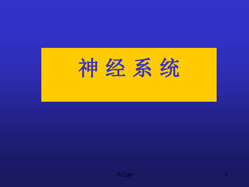 神经系统概述与脊髓ppt课件