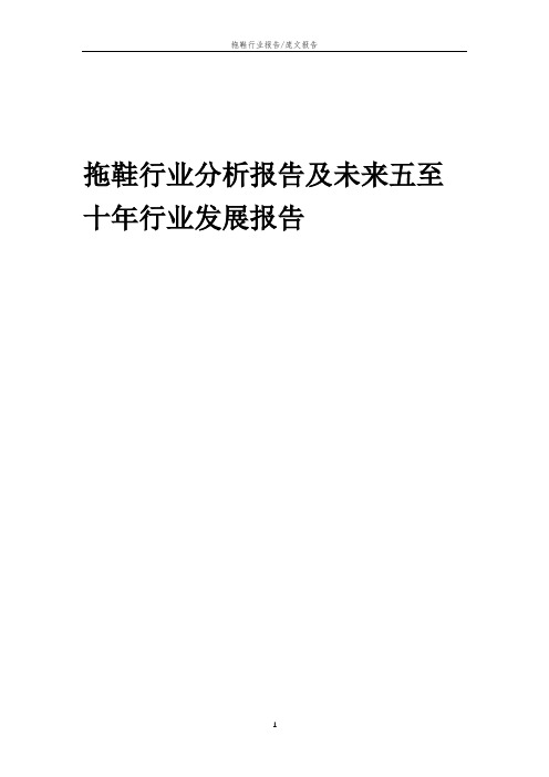 2023年拖鞋行业分析报告及未来五至十年行业发展报告