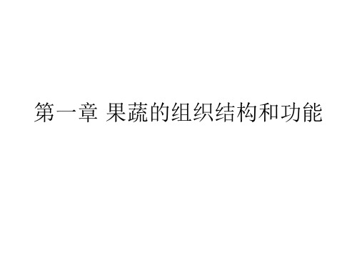 果蔬组织结构与功能