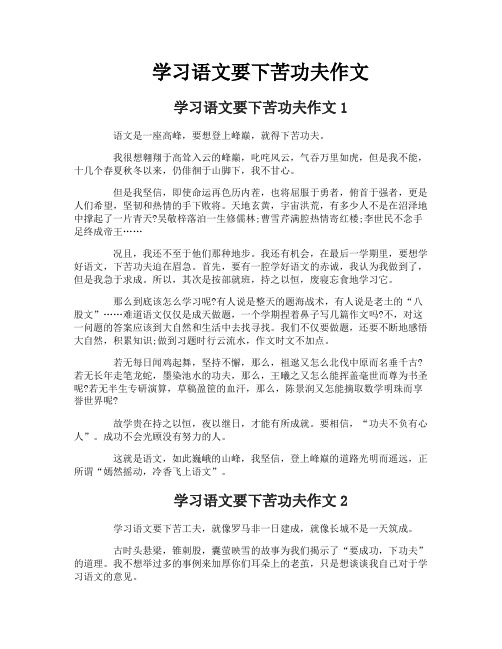 学习语文要下苦功夫作文