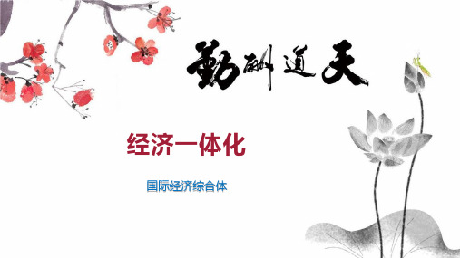 经济一体化 