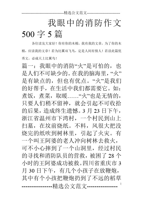 我眼中的消防作文500字5篇_0