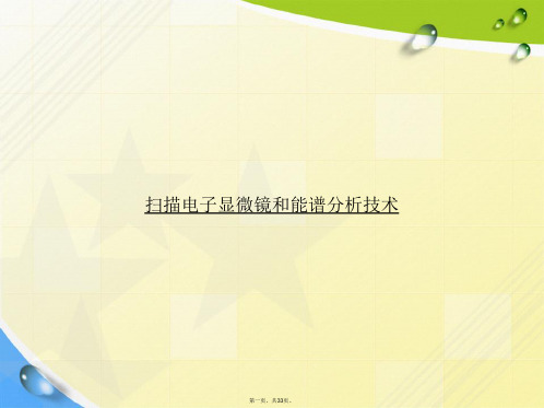 扫描电子显微镜和能谱分析技术讲课文档