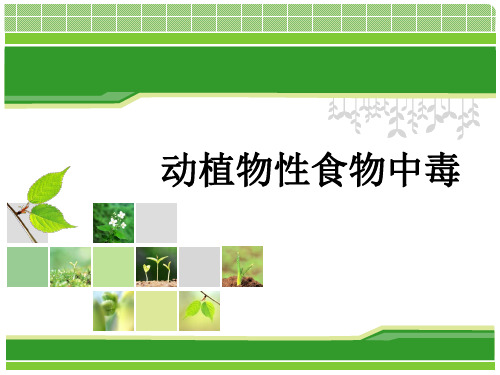 动植物性食物中毒
