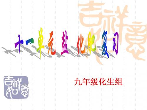 九年级化学第十一单元《盐 化肥》复习课件人教版