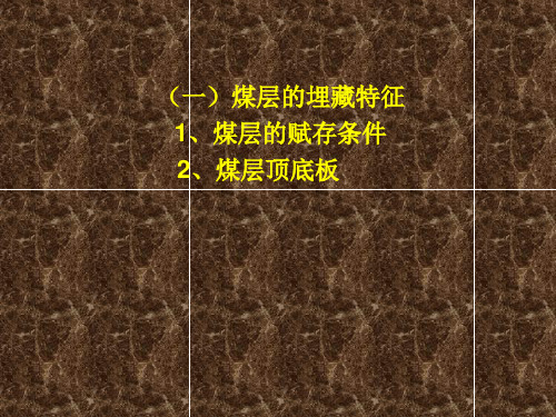 第三节 煤层的赋存条件