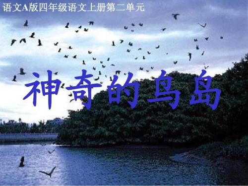小学语文四年级(上)神奇的鸟岛