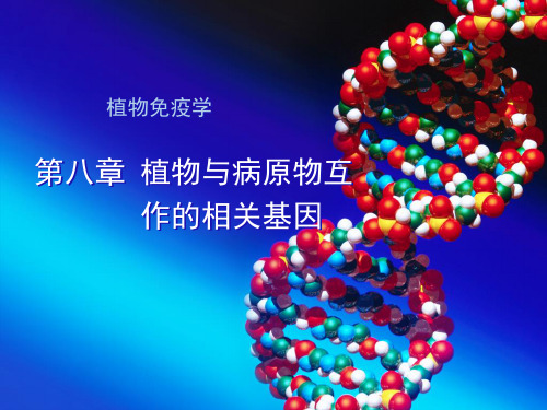 08植物与病原物互作的相关基因剖析