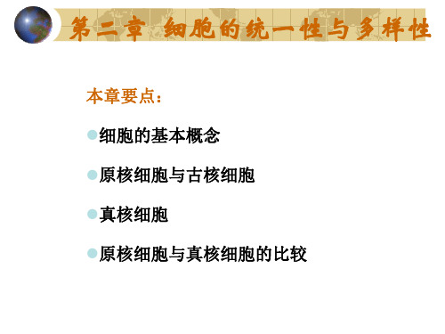 第二章  细胞基本知识概要