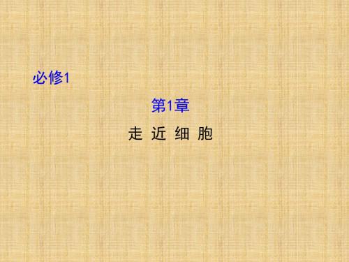 高考生物一轮复习 1.1走近细胞名师优质课件