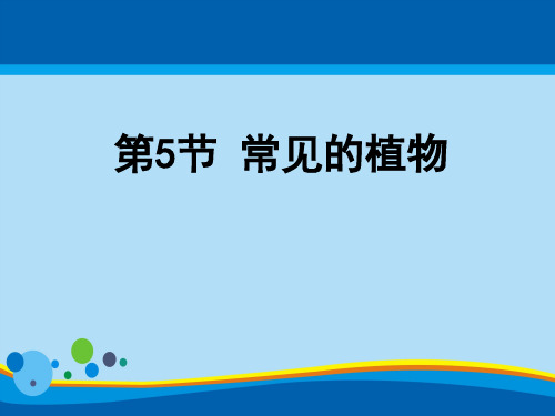 《常见的植物》PPT课件【精选推荐课件】