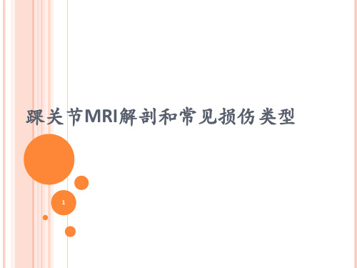踝关节MRI解剖和常见损伤类型参考PPT