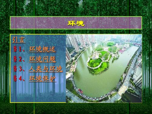 环境概述