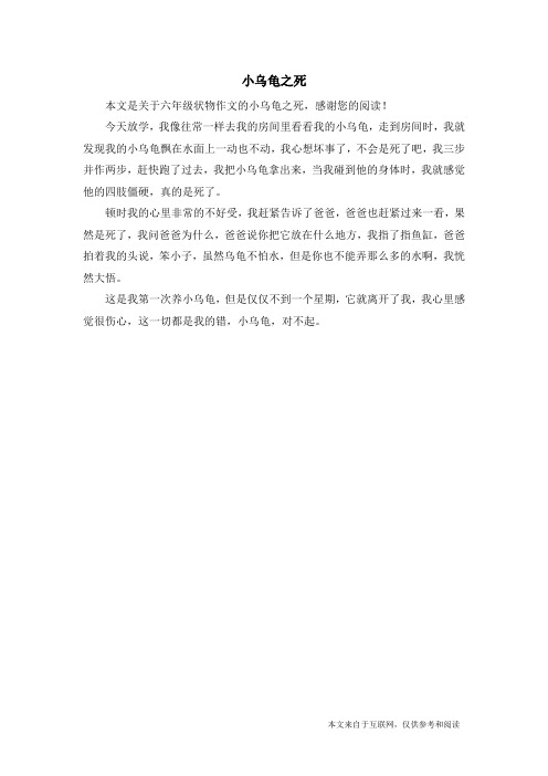 小乌龟之死_六年级状物作文