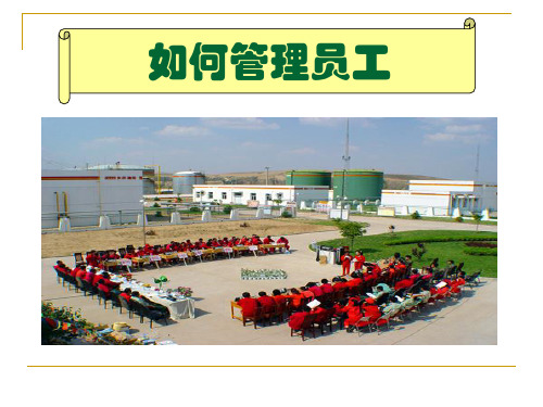 激励员工的几个方面
