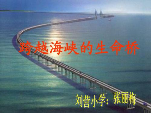 跨越海峡的生命桥课件[1]