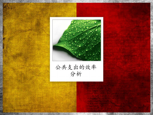 公共支出的效率分析