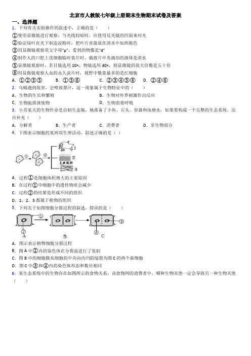 北京市人教版七年级上册期末生物期末试卷及答案