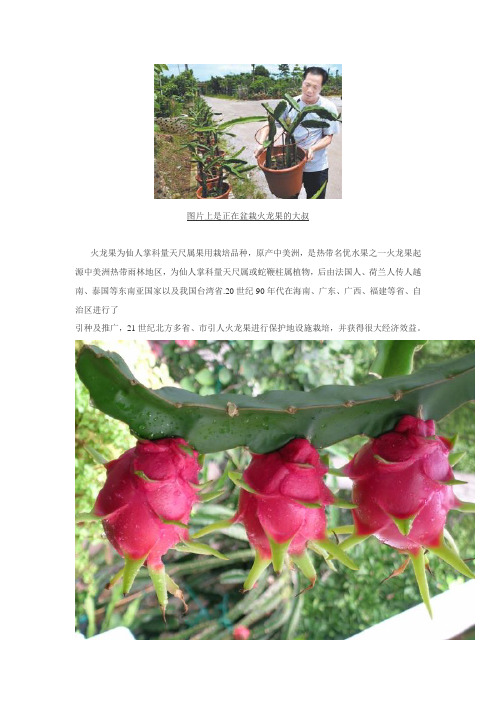 盆栽火龙果技术