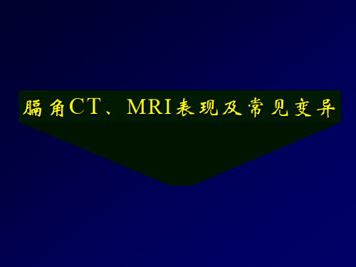 膈肌角解剖与常见变异 PPT课件