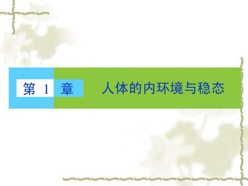新人教版必修3高中生物第1章第1节细胞生活的环境课件