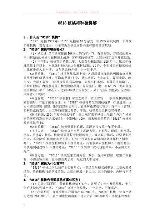 核桃树种植讲解 (1)